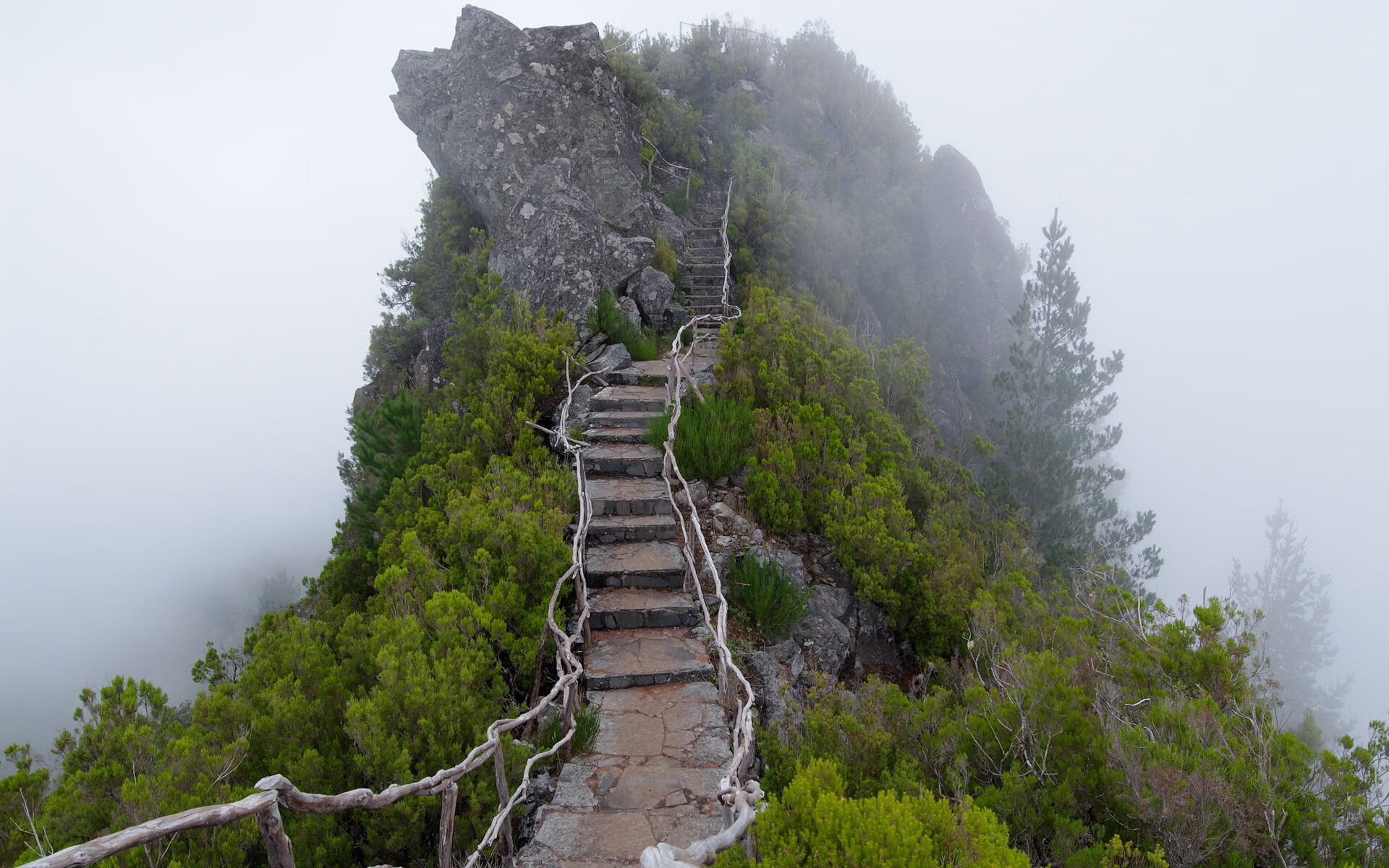 曼联再次失分，主场战平布莱顿遭遇三轮不胜，曼联vs布莱顿集锦