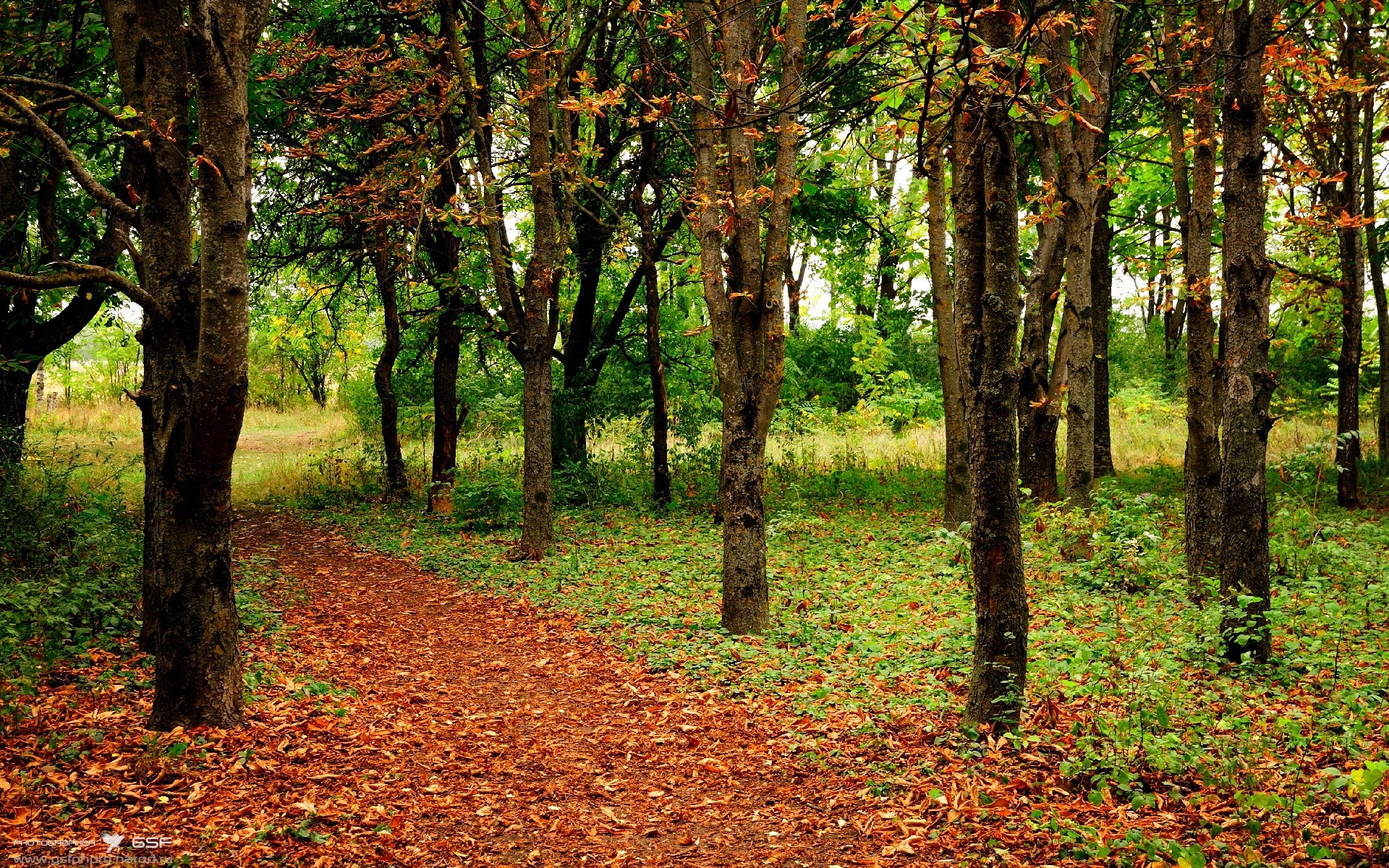 kaiyun sports safe-教练指挥风格与球队后劲表现之间的关系探讨，指挥后卫