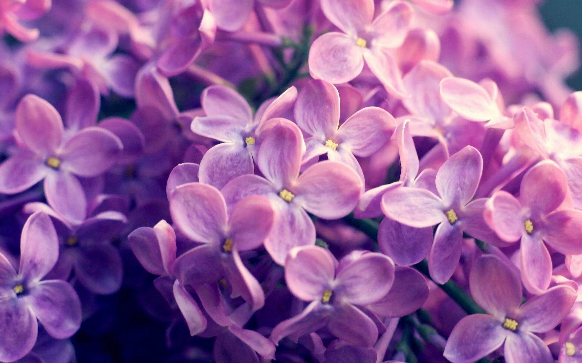 新闻中心发布年度发展计划，新闻中心工作规划