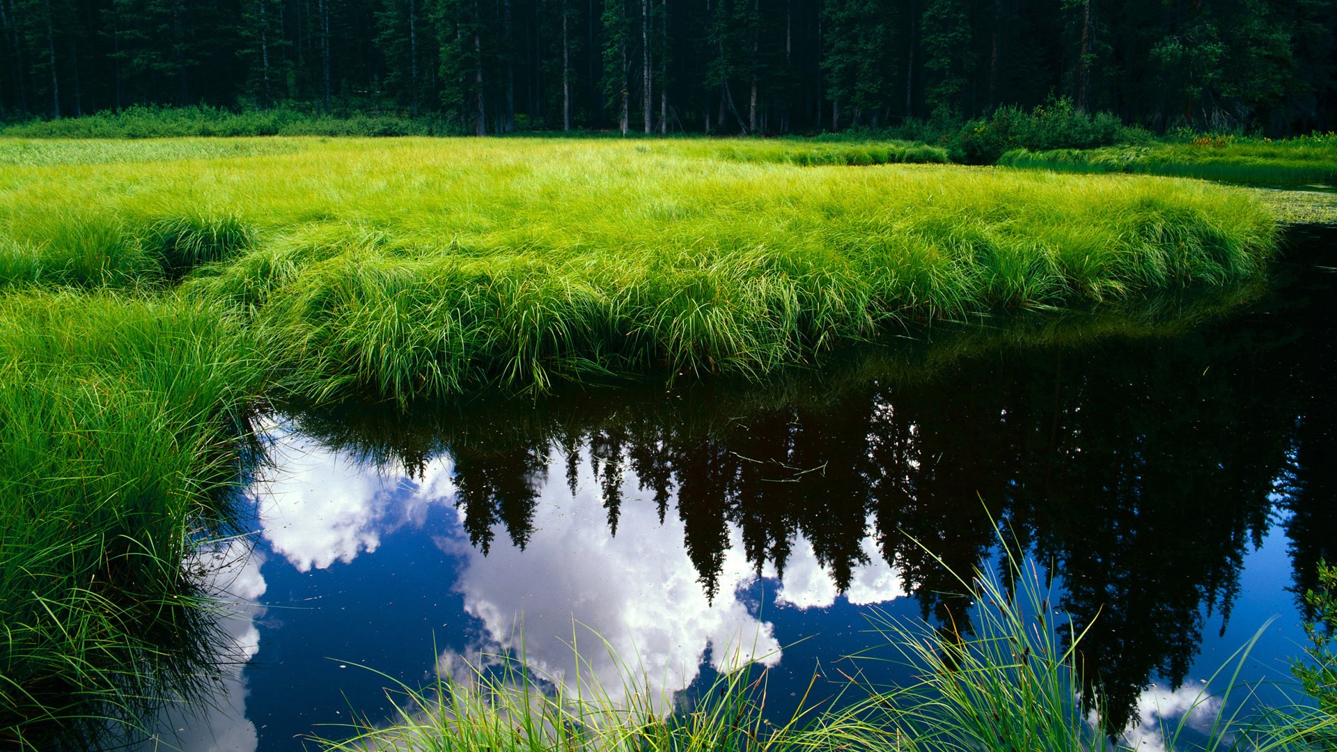 开云体育下载网址-网球新星崭露头角 年仅十六岁闯入八强，网球名星