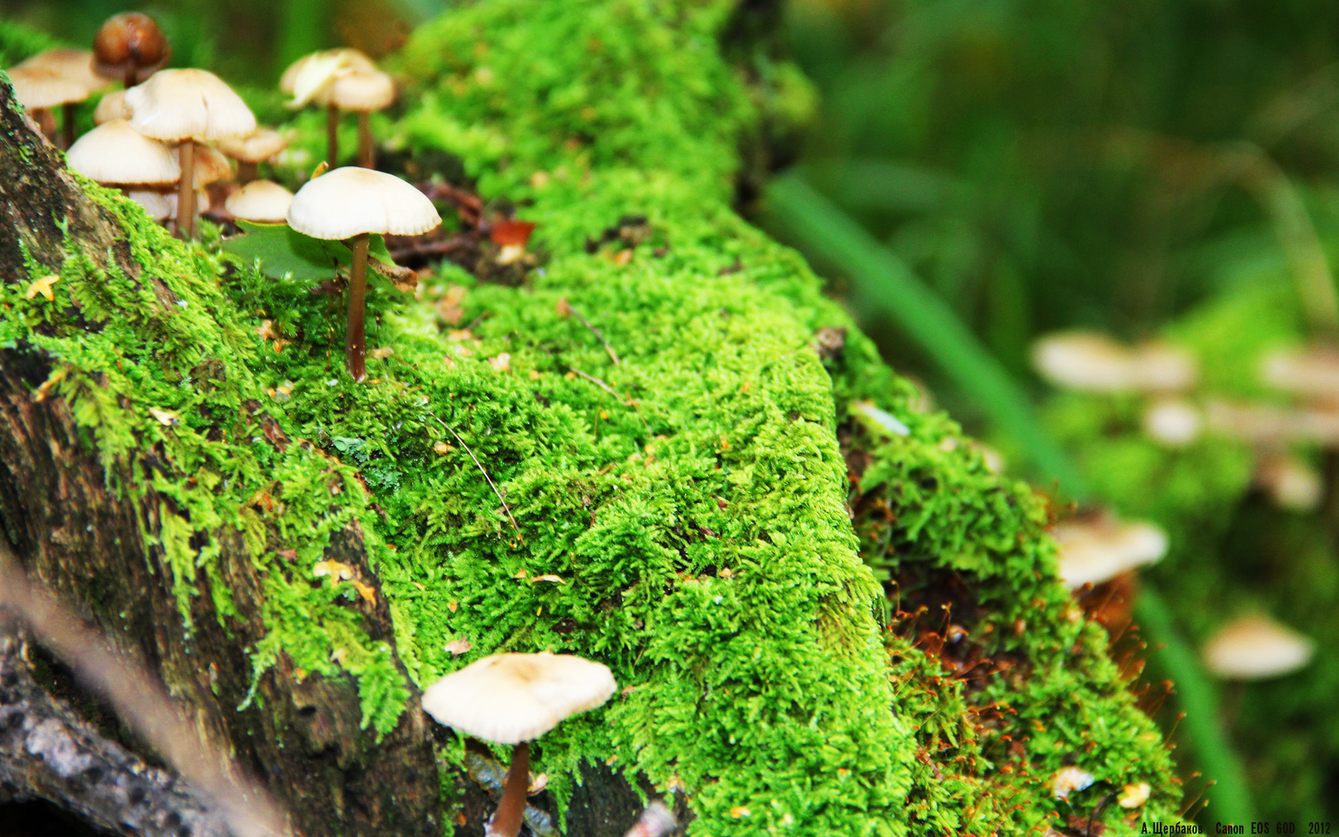 kaiyun app-坦桑尼亚男篮在非洲锦标赛中夺冠，继续拓展篮球影响力