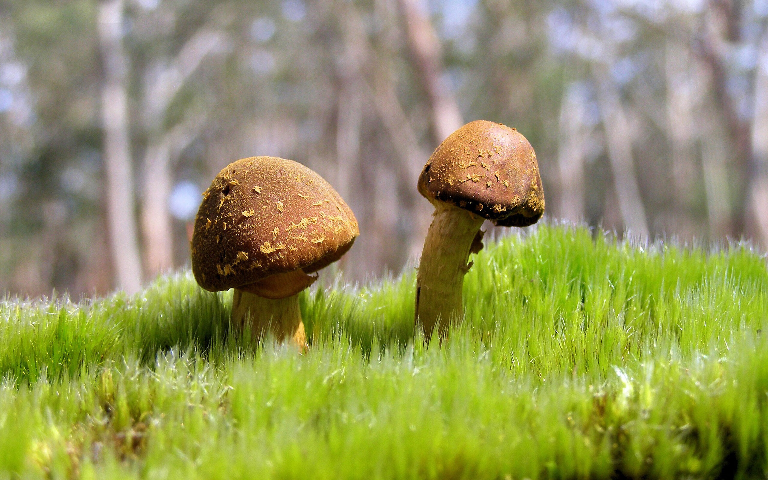 kaiyun sports-瑞士蝶泳新秀挑战赛场，蝶泳教练凯瑞