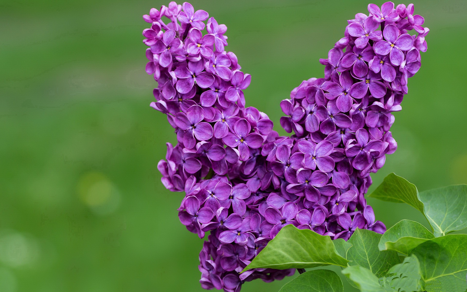 篮球赛事安全应急预案完善保障运动员和观众安全,篮球比赛安全应急预案