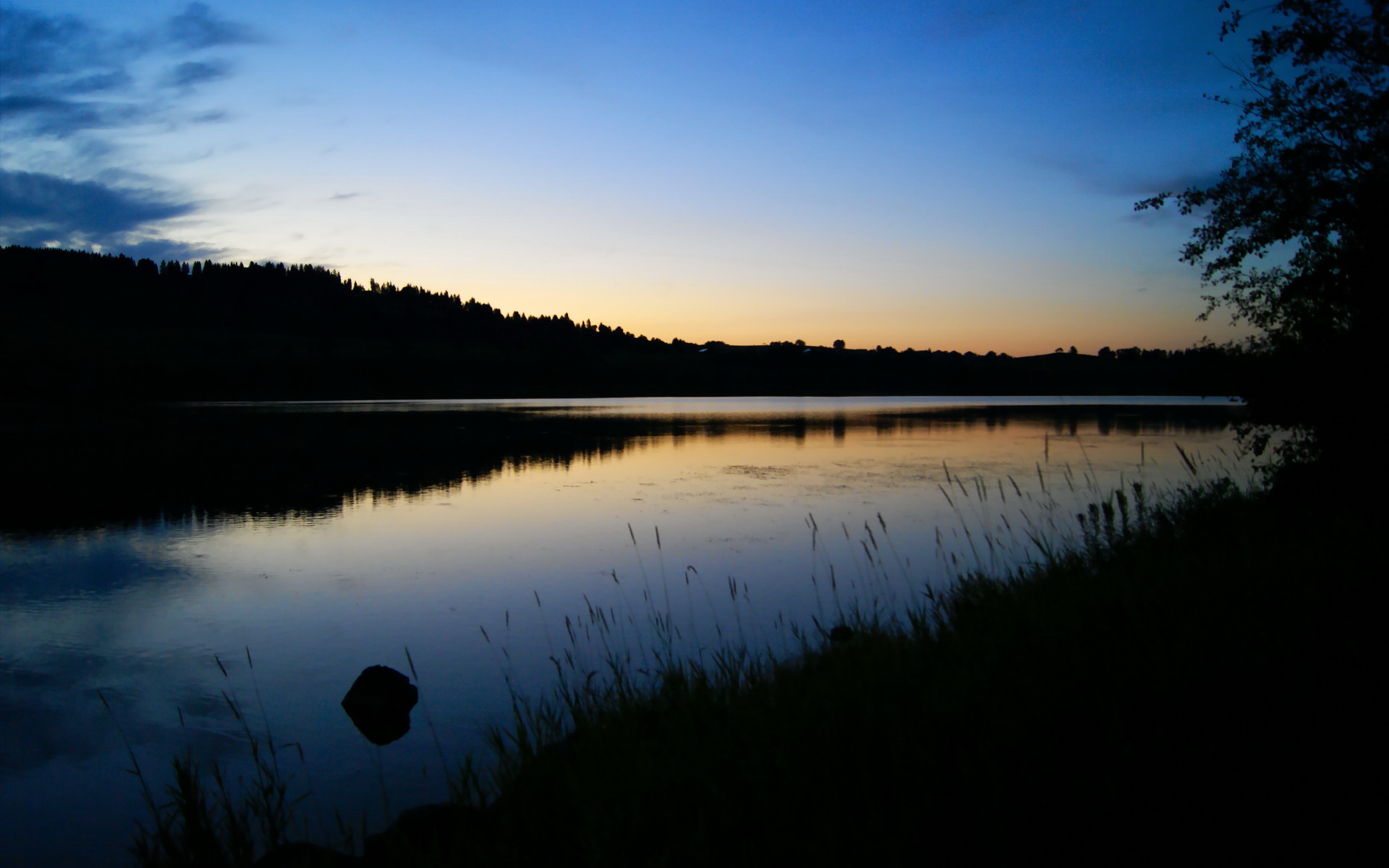 美洲杯明星闪耀：斗志激昂，精彩不断！，美洲杯原名