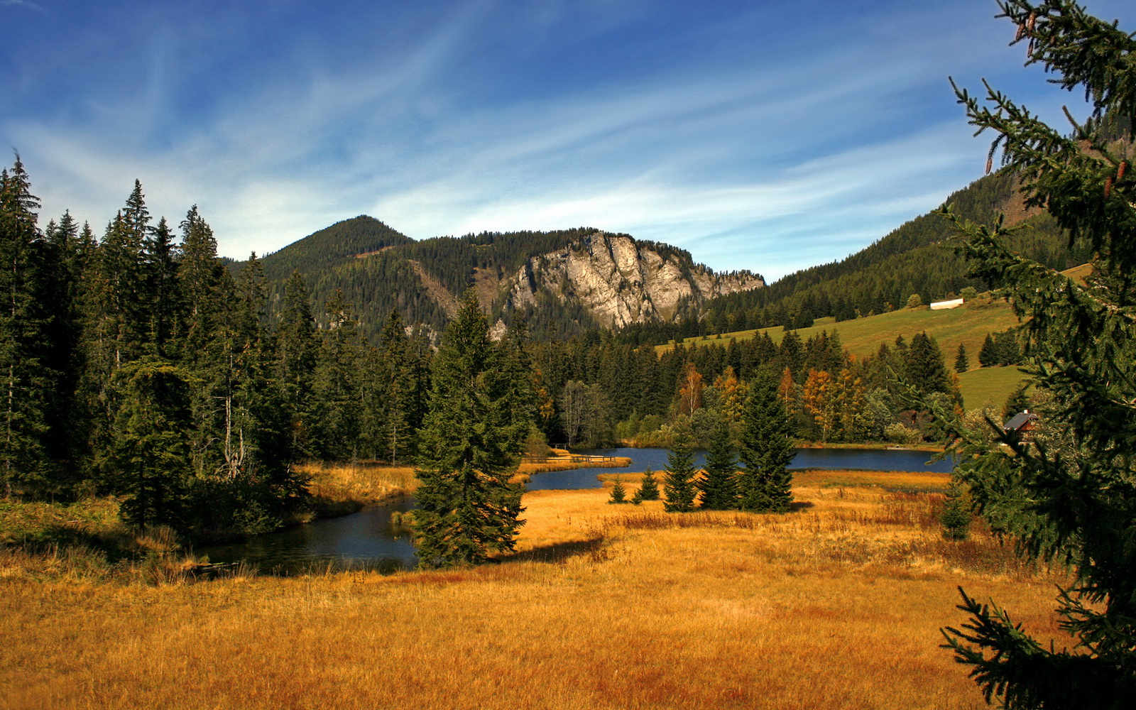 开云体育官方app-詹姆斯亲自发起球队更衣室文化建设，詹姆斯更衣室地位