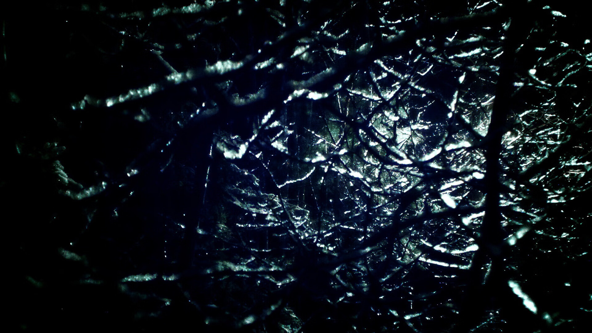 开云下载-黄蜂宣布与本地学校达成公益合作，请问黄蜂